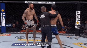 Shane Burgos Sport GIF by UFC
