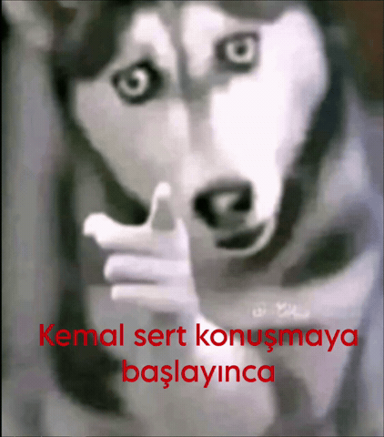 Ltf GIF