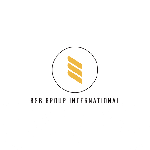 Logo Agency GIF by BSB Group Intl.