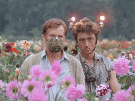 phe  GIF