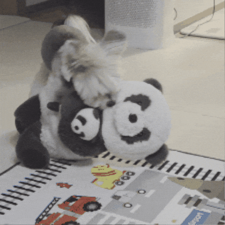 Fight Help GIF