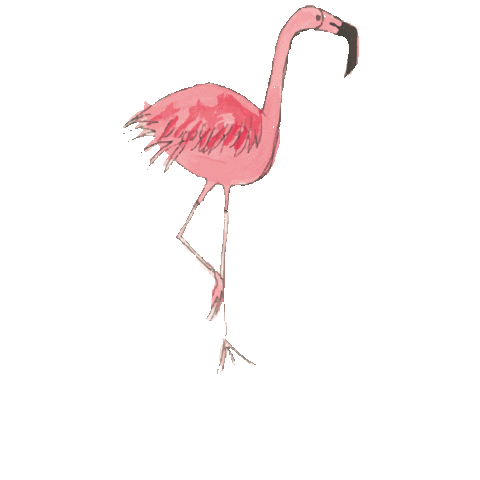 Aruba Pet Nutrition Sticker