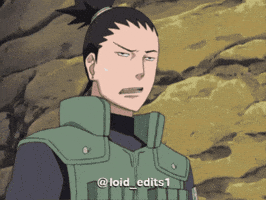 What The Wtf GIF