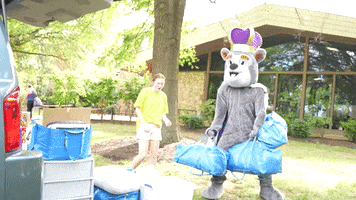 College Move In GIF by James Madison University