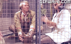peter davison