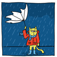 Cat Rain GIF