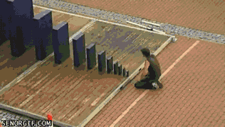 giphy.gif