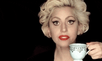 lady gaga gay GIF