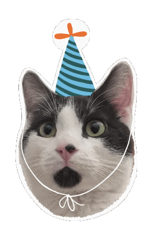 Cat In Party Hat Sticker