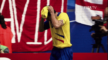 World Cup Soccer GIF by FIFA