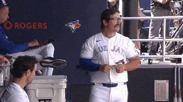 Blue Jays Baseball GIF by Toronto Blue Jays