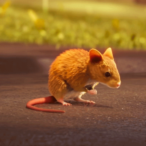 Mouse Shower GIF by ENSI