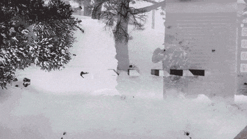snowboard wow GIF by X Games 