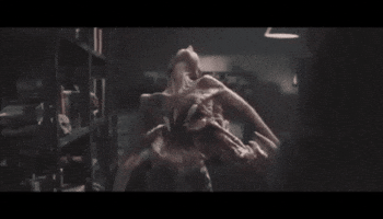 Transformation GIF