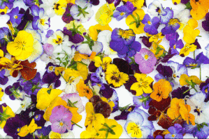 digitalmindsocial #food #architecture #eat #chef GIF