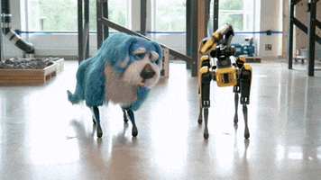 Artificial Intelligence Dog GIF by Storyful