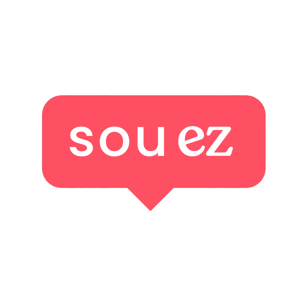 Ezaligner Brasil Sticker