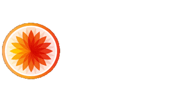 Spin California Sticker by TEAMride Studios