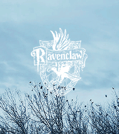 I bet youre Ravenclaw blue and silverbrozne would look so good on