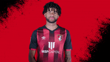 Football Crowd GIF by AFC Bournemouth