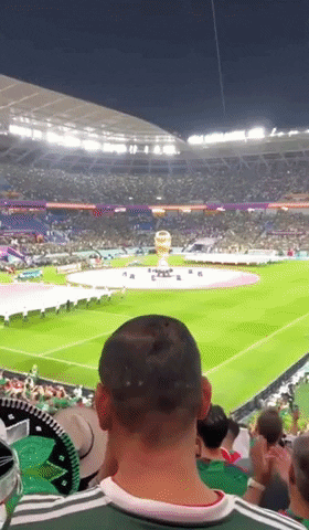 World Cup Mexico GIF by Storyful