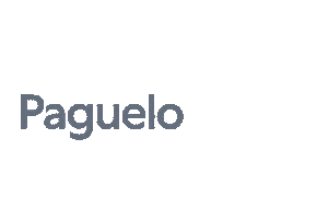 paguelofacil Sticker