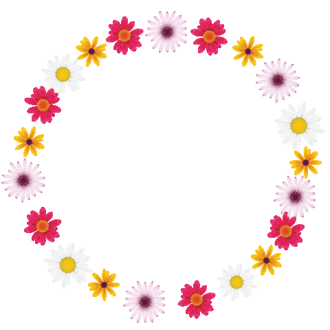 Figo Sticker
