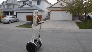 Halloween Skeleton GIF by Digg