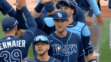 High Five Tampa Bay Rays GIF by MLB