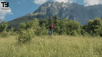 Happy Video GIF by TheFactory.video