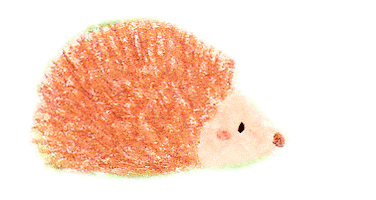 Hedgehog Cute Animal Sticker by allthings_hk