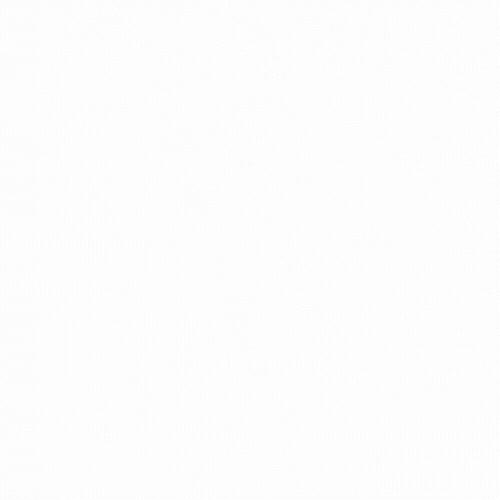 OK-JA Langnau GIF
