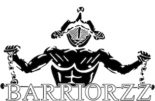 Calisthenics Streetworkout Sticker by Barriorzz