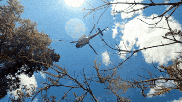 SOPFEU GIF
