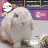 200.gif