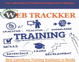 Salesforce Course In Noida GIF