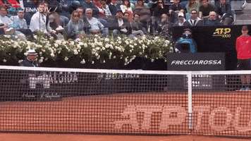 winner genius GIF by Tennis TV