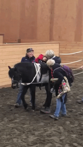 GIF by chivecharities