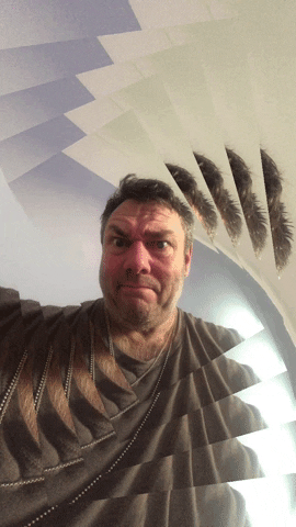 Exasperated GIF