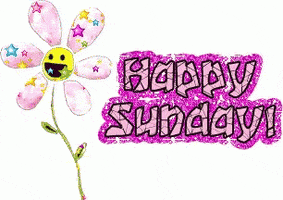 Happy Sunday GIFs - Find & Share on GIPHY