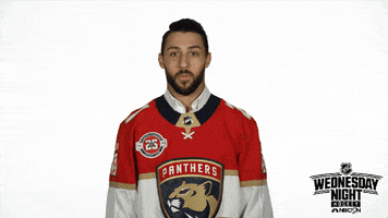 florida panthers what GIF by NHL on NBC Sports