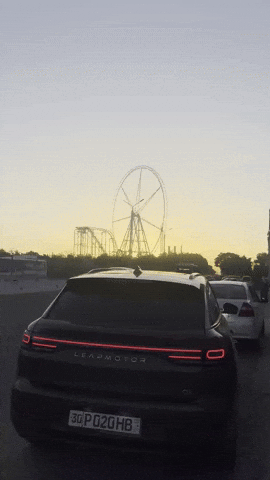 020 GIF