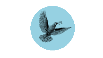Peace Democracy Sticker by Junges Grünes Bündnis