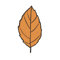 Fall Autumn Sticker by DECA Inc.