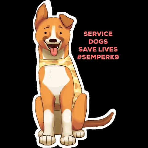 Semper K9 GIF