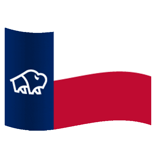 Lone Star Texas Sticker by TWINOAKS