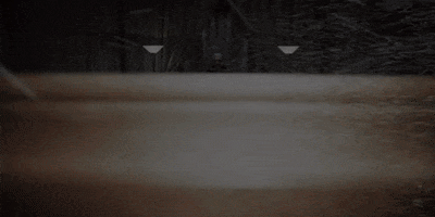 GIF by Road To The Lemon Grove