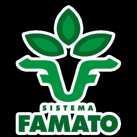 Sistema Famato GIF