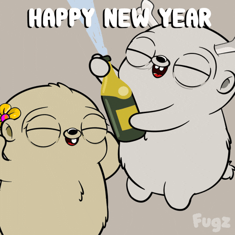 Happy New Year Party GIF by Fugz Official