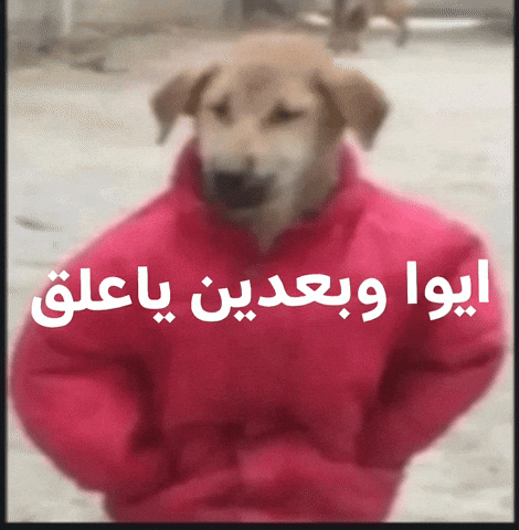 علوقيه GIF